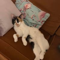 Photo of Maia   Located In Preston