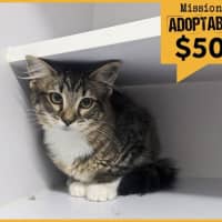 Photo of Lady Warhammer