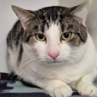Photo of Winston