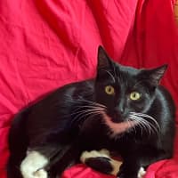 Photo of Coco And Mocha 