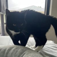 Photo of Yetti