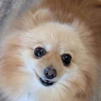 Photo of Betty