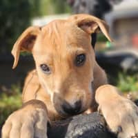 Photo of Statler