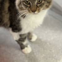 Photo of Darling