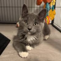 Photo of Arya 🪻💜