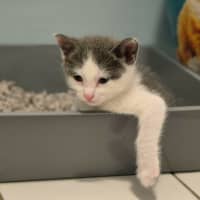 Photo of 💙 Concrete 🤍