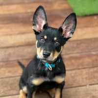 Photo of Timberglades