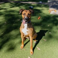 Photo of Athena