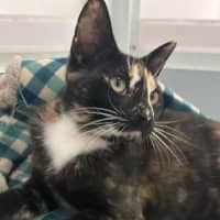 Photo of Marjorie