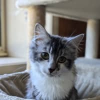 Photo of Vinny