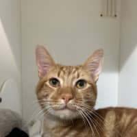 Photo of Sammy