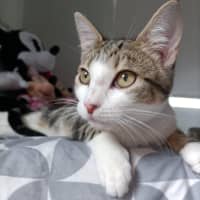 Photo of Everhart & Fairlight