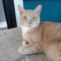 Photo of Elio