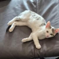 Photo of Elsa