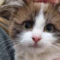 Photo of Luca