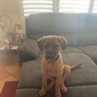 Photo of Cruise