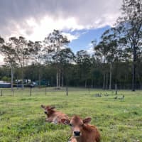 Photo of Austin And Elvis