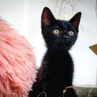 Photo of 🥰 Davis 🥰