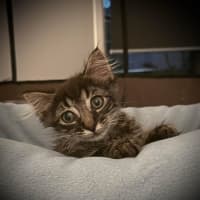 Photo of Bili