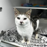 Photo of Kiki