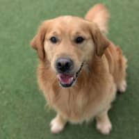 Photo of Charlie