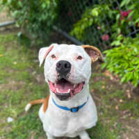 Photo of Spike