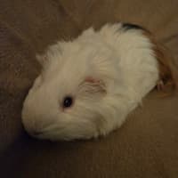 Photo of Kayden