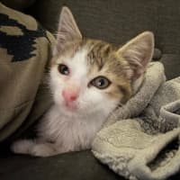 Photo of Lexii