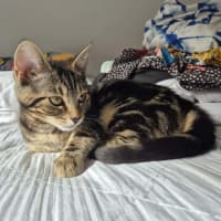 Photo of Ashley