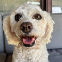 Photo of Mia