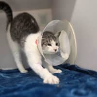 Photo of Ethel