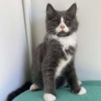 Photo of Huey And Lulu