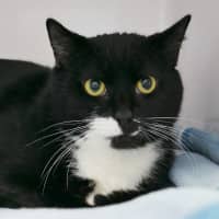 Photo of Bumble Sta012812