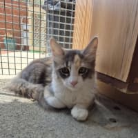 Photo of Ella! ❤️