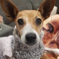 Photo of Ruby Tuesday