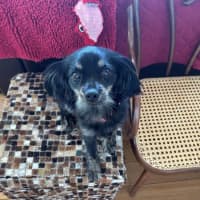 Photo of Tommy Allbright