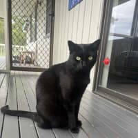 Photo of Ghetto & Gucci