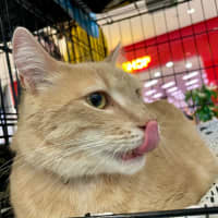 Photo of Jerry