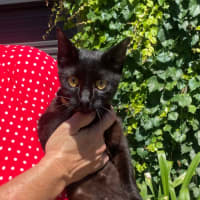 Photo of Marge (With Homer)