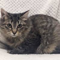 Photo of Cathay