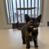Photo of Stormi