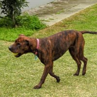 Photo of Coco Chanel