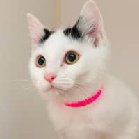 Photo of Yuki