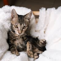 Photo of Trujillo (Trudy)