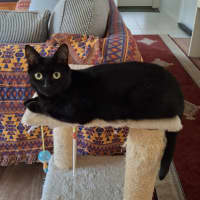 Photo of Princess Luna