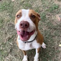 Photo of Ember
