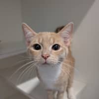 Photo of Frodo