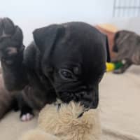 Photo of Zeus