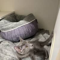 Photo of Casper