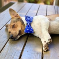 Photo of Kevin Arnold